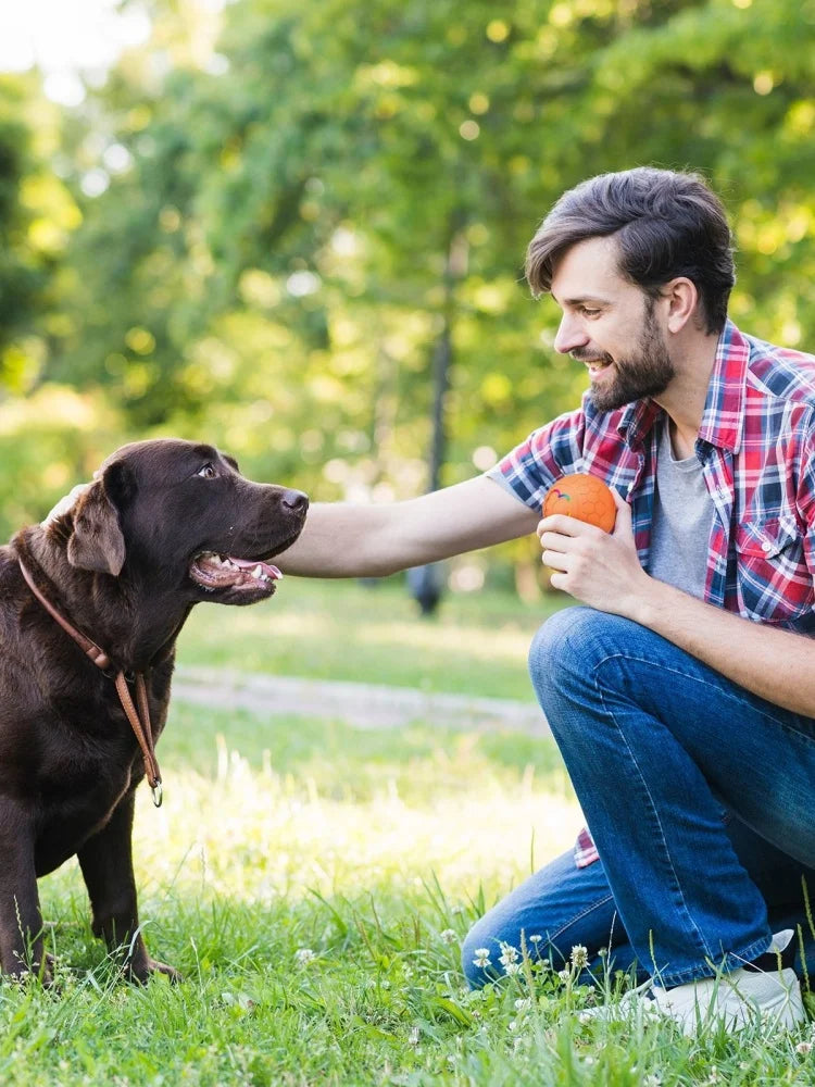 1 Pcs Dog Ball Toy Smart Interactive Recarregável Automático