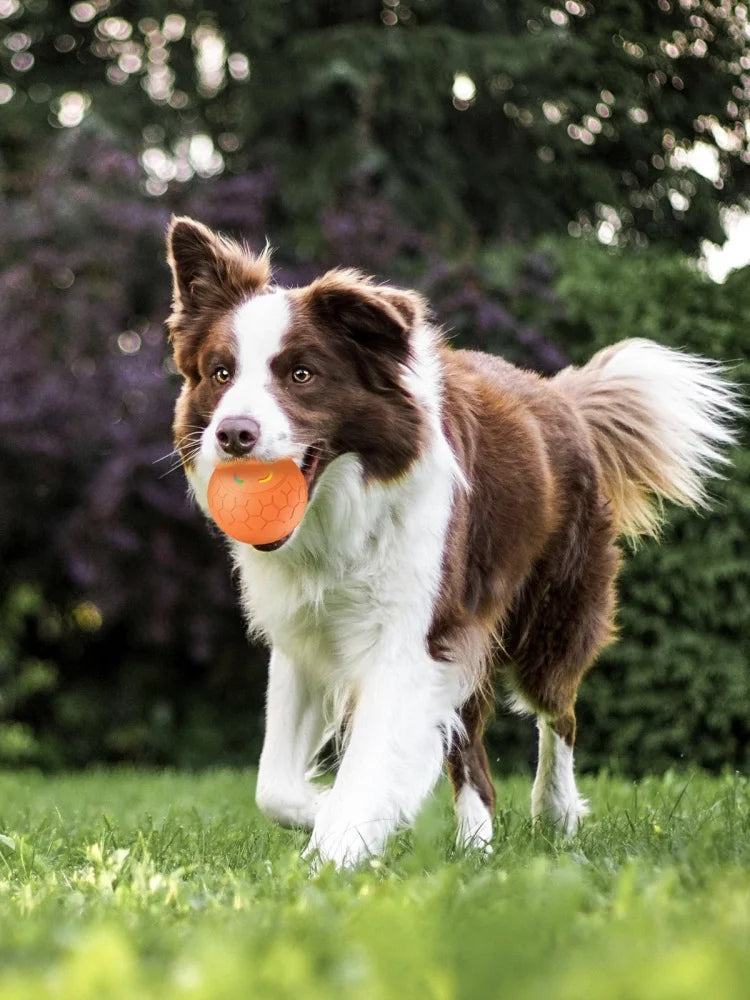 1 Pcs Dog Ball Toy Smart Interactive Recarregável Automático